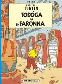 Tintin : Todoga Na Bhfaronna (irlandais) - Tintin: Todoga Na Bhfaronna (Irish)