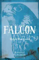 Faucon - Falcon