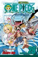 One Piece, Vol. 29, 29