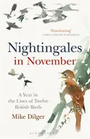 Nightingales in November - Une année dans la vie de douze oiseaux britanniques - Nightingales in November - A Year in the Lives of Twelve British Birds