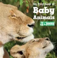 Mon premier livre de bébés animaux - My First Book of Baby Animals