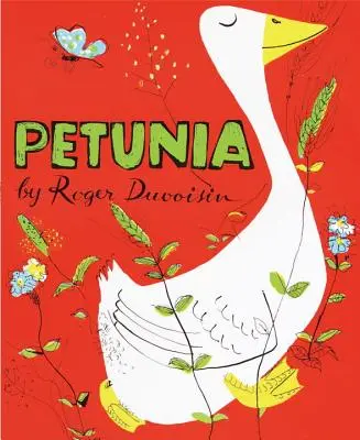 Pétunia - Petunia