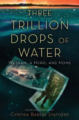 Trois billions de gouttes d'eau : Le Vietnam, un héros et le retour à la maison - Three Trillion Drops of Water: Vietnam, a Hero, and Home