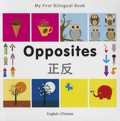 Mon premier livre bilingue - Les opposés (anglais-chinois) - My First Bilingual Book-Opposites (English-Chinese)