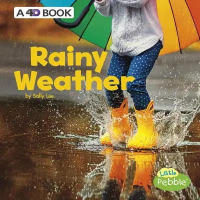 Le temps de la pluie : Un livre en 4D - Rainy Weather: A 4D Book