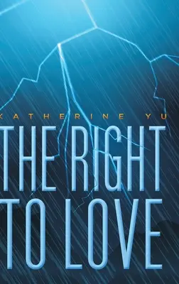 Le droit d'aimer - The Right to Love