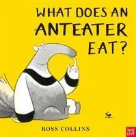 Que mange un fourmilier ? - What Does An Anteater Eat?