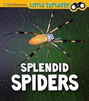 Splendides araignées - Splendid Spiders