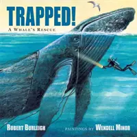 Le sauvetage d'une baleine piégée - Trapped! a Whale's Rescue