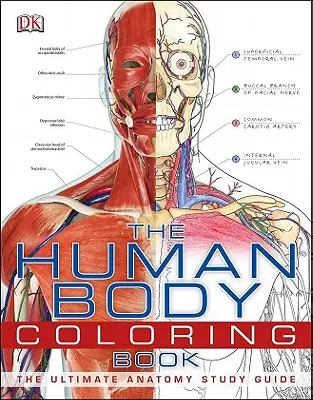 Le livre de coloriage du corps humain : Le guide d'étude ultime de l'anatomie - The Human Body Coloring Book: The Ultimate Anatomy Study Guide