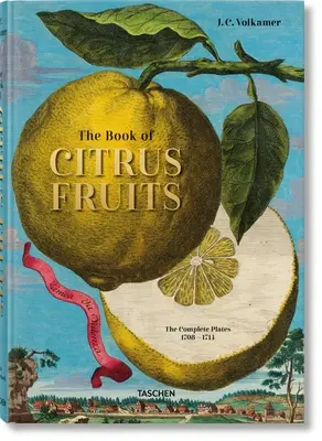 J. C. Volkamer, le livre des agrumes - J. C. Volkamer. the Book of Citrus Fruits