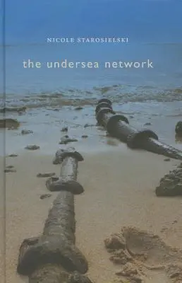 Le réseau sous-marin - Undersea Network