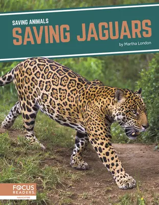 Sauver les jaguars - Saving Jaguars