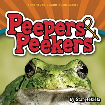 Les oiseaux du sud-ouest : votre façon d'identifier facilement les oiseaux de jardin - Peepers & Peekers