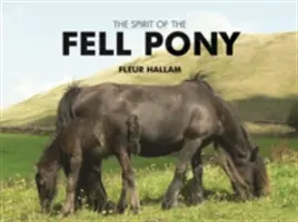 L'esprit du poney de montagne - Spirit of the Fell Pony