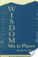 La sagesse s'installe dans les lieux : Paysage et langue chez les Apaches de l'Ouest - Wisdom Sits in Places: Landscape and Language Among the Western Apache