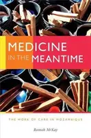 La médecine en attendant : Le travail de soins au Mozambique - Medicine in the Meantime: The Work of Care in Mozambique