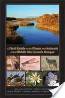 Guide de terrain pour les plantes et les animaux du Bosque du Rio Grande moyen - A Field Guide to the Plants and Animals of the Middle Rio Grande Bosque