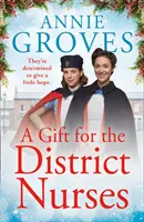 Un cadeau pour les infirmières du district (Les infirmières du district, livre 4) - A Gift for the District Nurses (the District Nurses, Book 4)