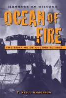 L'océan de feu : l'incendie de Columbia, 1865 - Ocean of Fire: The Burning of Columbia, 1865