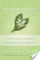 Ce qui était perdu : Un voyage chrétien à travers la fausse couche - What Was Lost: A Christian Journey Through Miscarriage