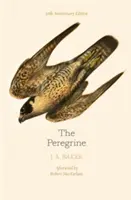 Peregrine : édition du 50e anniversaire - postface de Robert Macfarlane - Peregrine: 50th Anniversary Edition - Afterword by Robert Macfarlane