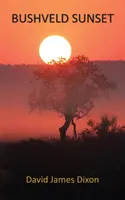 Coucher de soleil dans le Bushveld - Bushveld Sunset