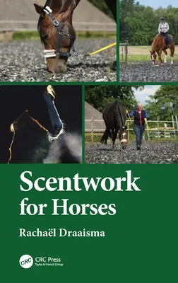 Scénographie pour les chevaux - Scentwork for Horses