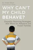 Pourquoi mon enfant ne se comporte-t-il pas bien&nbsp;? Des stratégies parentales empathiques qui fonctionnent pour les familles adoptives et d'accueil - Why Can't My Child Behave?: Empathic Parenting Strategies That Work for Adoptive and Foster Families