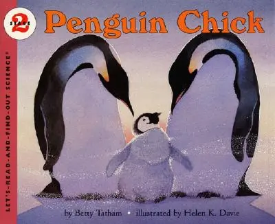 Le poussin pingouin - Penguin Chick