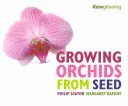 Cultiver des orchidées à partir de graines - Growing Orchids from Seed