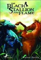 L'étalon noir et la flamme - The Black Stallion and Flame