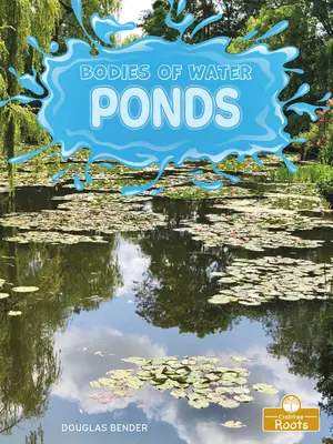 Étangs - Ponds