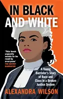 En noir et blanc - L'histoire d'un jeune avocat sur la race et la classe dans un système judiciaire défaillant - In Black and White - A Young Barrister's Story of Race and Class in a Broken Justice System