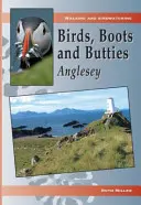 Oiseaux, bottes et beignets : Anglesey - Birds, Boots and Butties: Anglesey