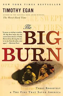 La grande brûlure : Teddy Roosevelt et l'incendie qui a sauvé l'Amérique - The Big Burn: Teddy Roosevelt and the Fire That Saved America