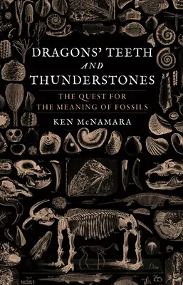 Dents de dragons et pierres de tonnerre : La quête de la signification des fossiles - Dragons' Teeth and Thunderstones: The Quest for the Meaning of Fossils