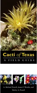 Cacti of Texas : Un guide de terrain, avec une attention particulière pour les espèces des Trans-Pecos - Cacti of Texas: A Field Guide, with Emphasis on the Trans-Pecos Species