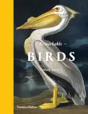 Oiseaux remarquables - Remarkable Birds