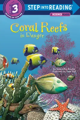 Récifs coralliens en danger - Coral Reefs in Danger