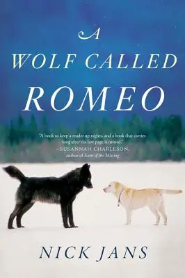 Un loup appelé Roméo - A Wolf Called Romeo