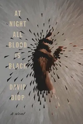 La nuit, tout le sang est noir - At Night All Blood Is Black