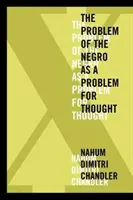 XA le problème du nègre comme problème de pensée - XA the Problem of the Negro as a Problem for Thought