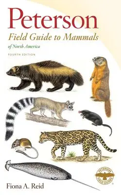 Peterson Field Guide to Mammals of North America (Guide de terrain des mammifères d'Amérique du Nord) - Peterson Field Guide to Mammals of North America