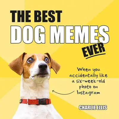 Les meilleurs mèmes sur les chiens : Les mèmes les plus drôles racontés par des chiens - The Best Dog Memes Ever: The Funniest Relatable Memes as Told by Dogs