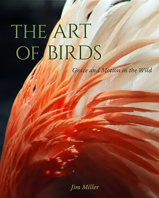 L'art des oiseaux : Grâce et mouvement dans la nature - The Art of Birds: Grace and Motion in the Wild