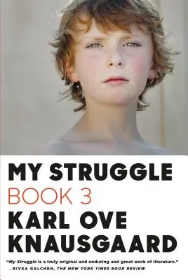 Mon combat, livre 3 - My Struggle, Book 3