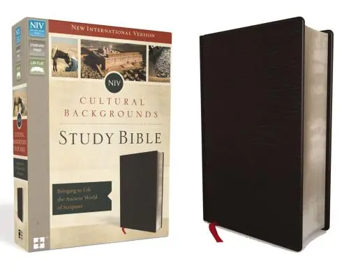 NIV, Bible d'étude sur les contextes culturels, cuir collé, noir : Le monde antique de l'Écriture, une réalité vivante - NIV, Cultural Backgrounds Study Bible, Bonded Leather, Black: Bringing to Life the Ancient World of Scripture