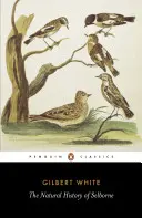 Histoire naturelle de Selborne - Natural History of Selborne