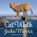 La marche du chat - Cat Walk